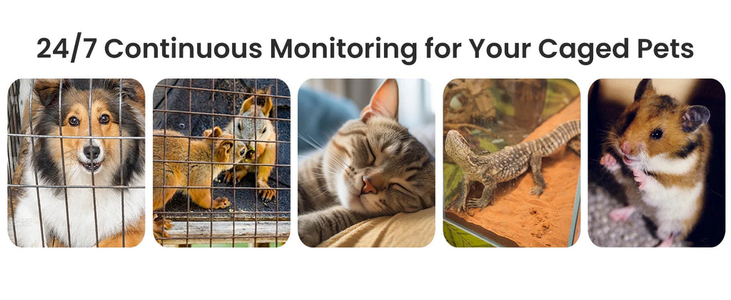  Wireless Mini WiFi Security HD Camera Monitoring Detection Security Protection  Night Vision Home Safety Long Battery Life